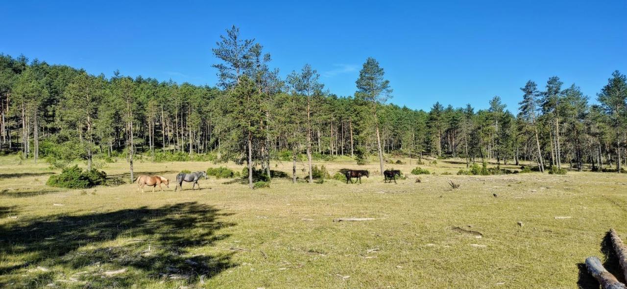 Alojamiento Rural Los Gancheros Tragacete Eksteriør billede