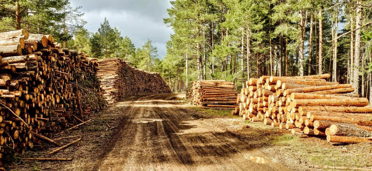 Alojamiento Rural Los Gancheros Tragacete Eksteriør billede