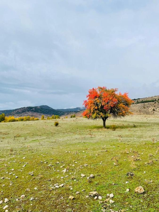 Alojamiento Rural Los Gancheros Tragacete Eksteriør billede